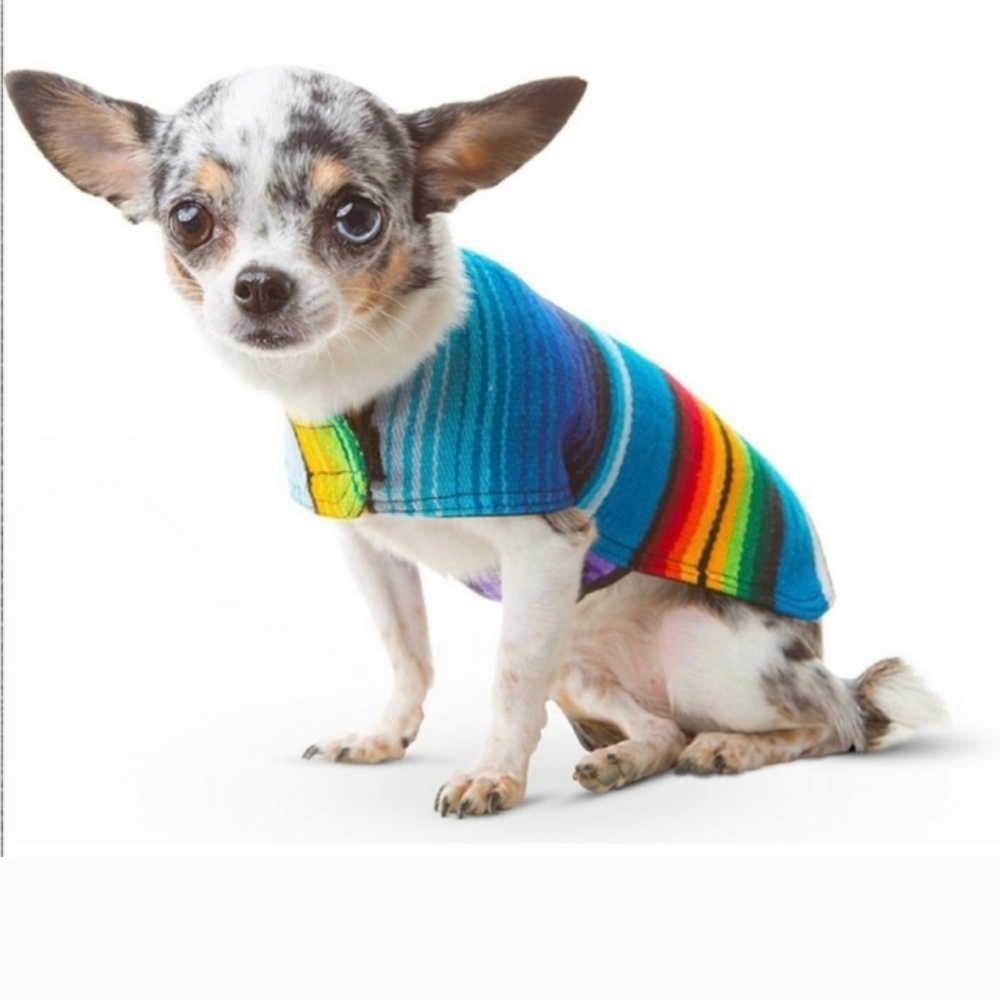 Baja Ponchos extra small